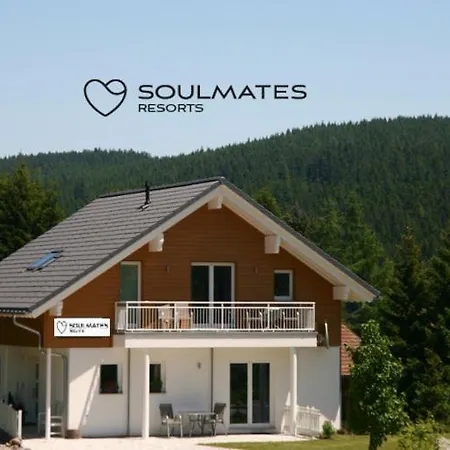 Apartment Soulmates - Feldberg (Baden-Wurttemberg)