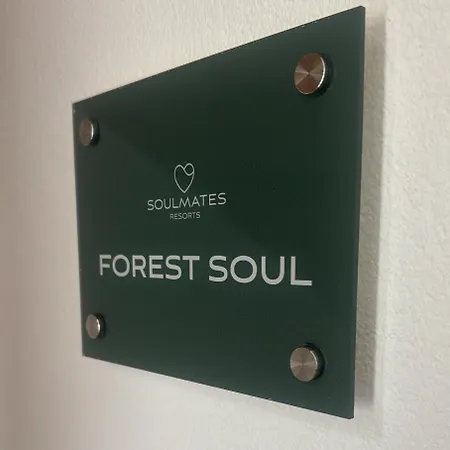 Soulmates - פלדברג